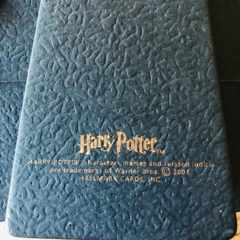 Vintage Harry Potter 2001 Hallmark Picture Frame Quidditch Snitch READ~